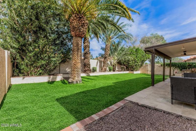 Backyard with Virtual Summer Grass