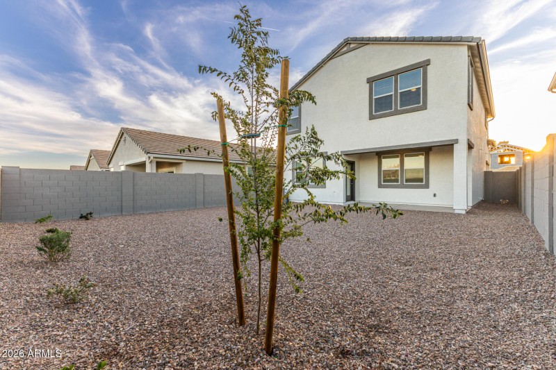 35 Palo verde