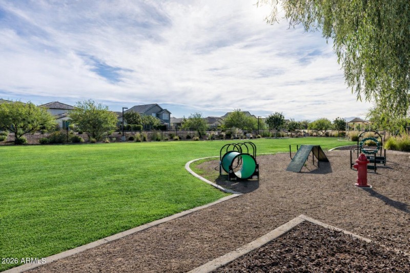 Dog playground in suburban park
