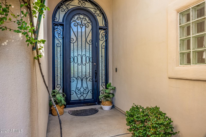 Custom Entry Glass Door