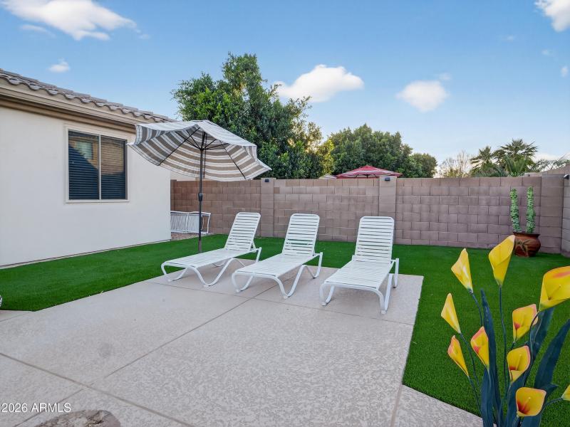Backyard Lounge and Sun Deck