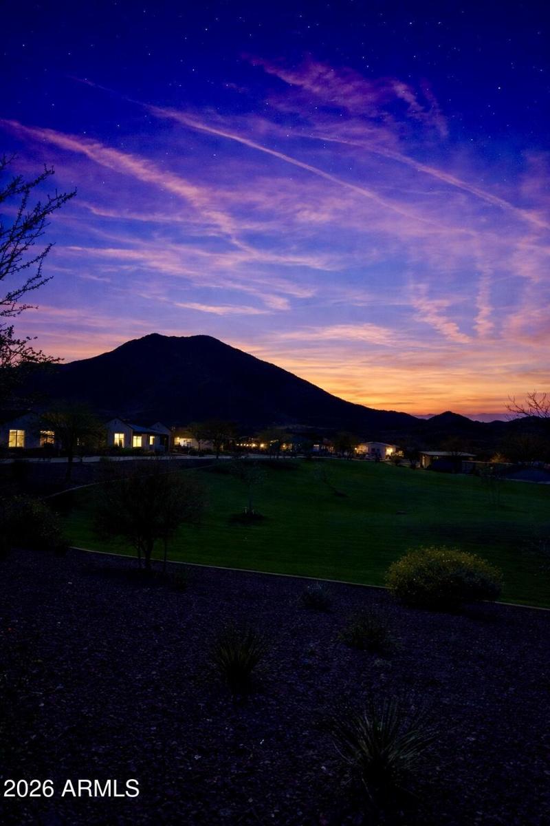 Marsh Wren Twilight 2
