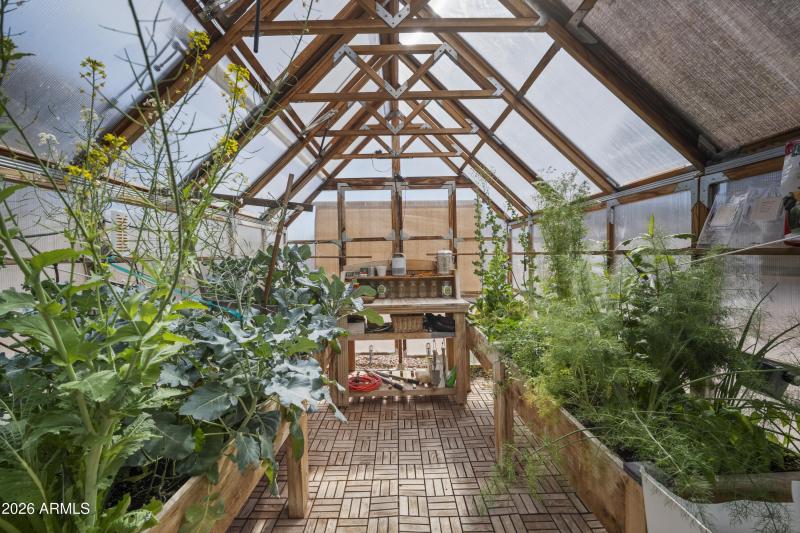 60 Greenhouse interior