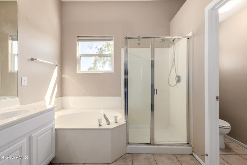 LARGE SOAKING TUB WITH WALK-IN SHOWER