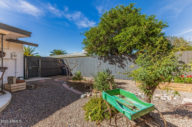 Beautifully designed backyard 1