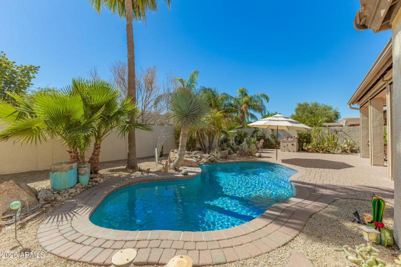 Beautiful Mature Plants