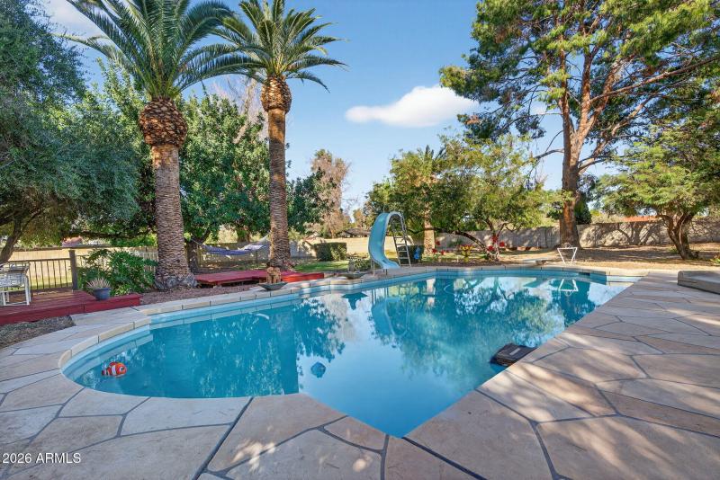 Resort Style Backyard