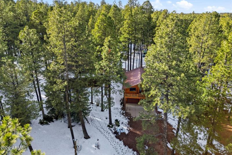 1626QuailTrail-ForestLakes-AZ-41