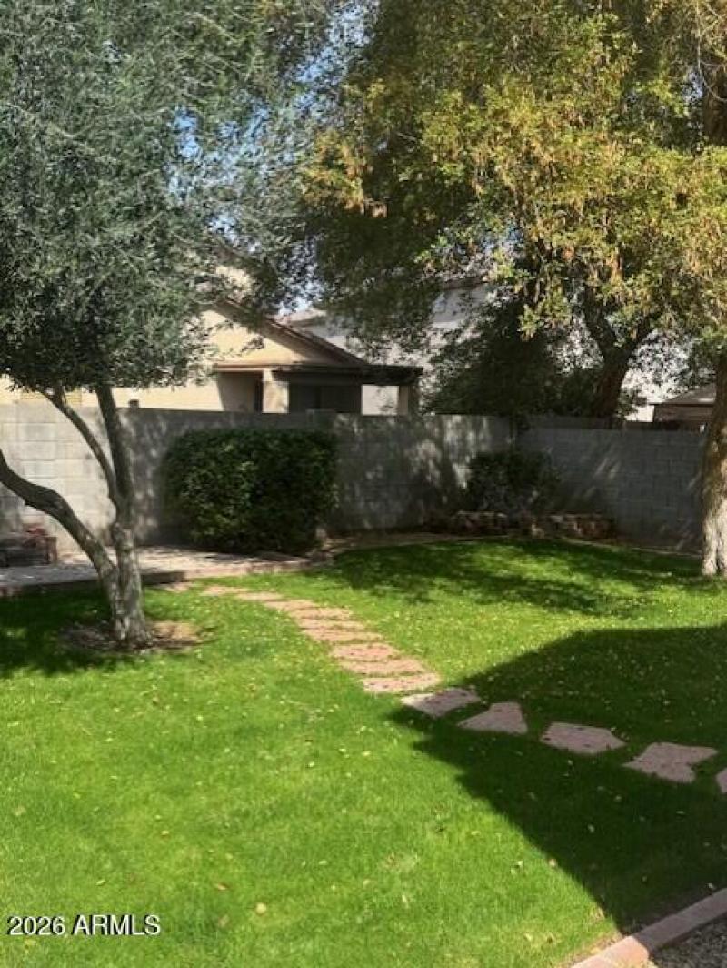 yavapai other backyard view