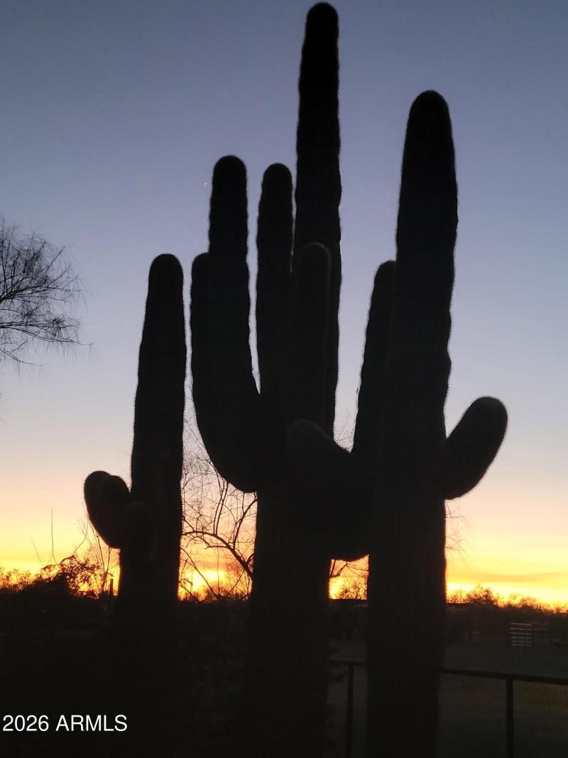 1405839428050532923 (1)