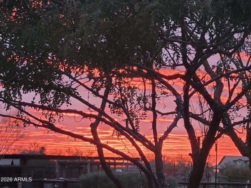 3756584009489998667 (1)