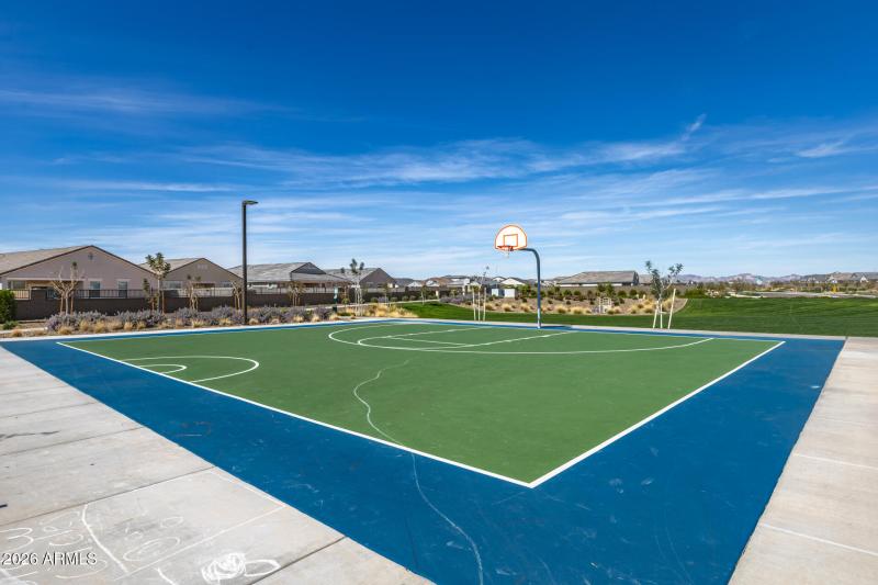 Basketball Court