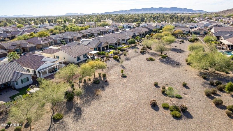 Watch the bunnies on your patio
