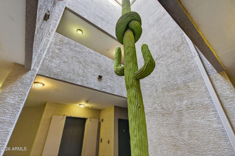 11-web-or-mls-DSC01078