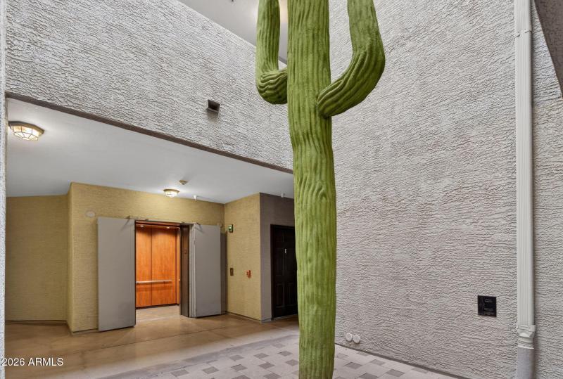 10-web-or-mls-DSC01075