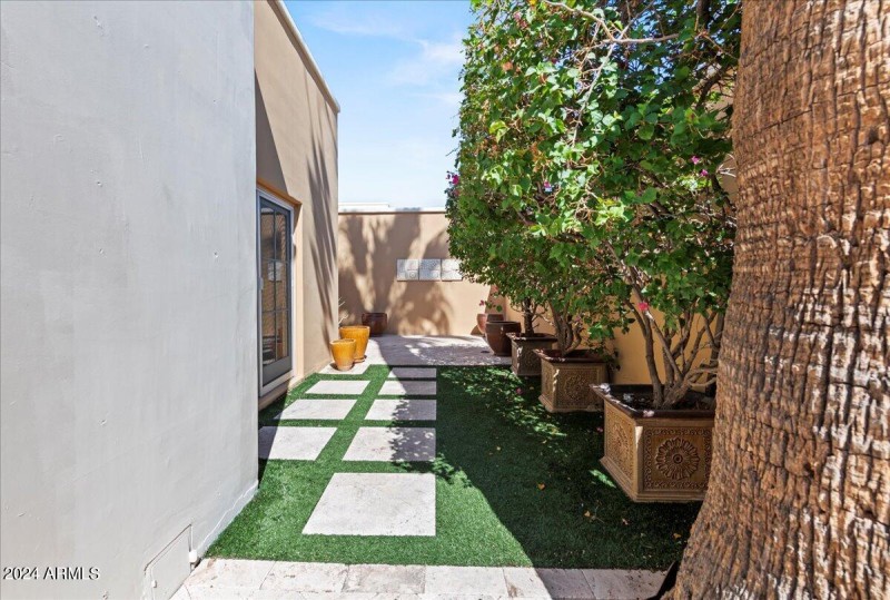 Patio lined with Bouganivilleas