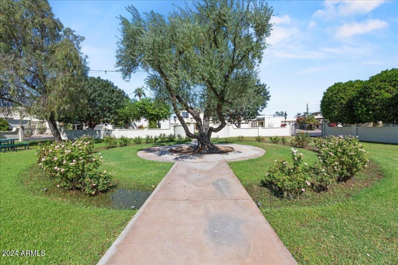 Large park in the community