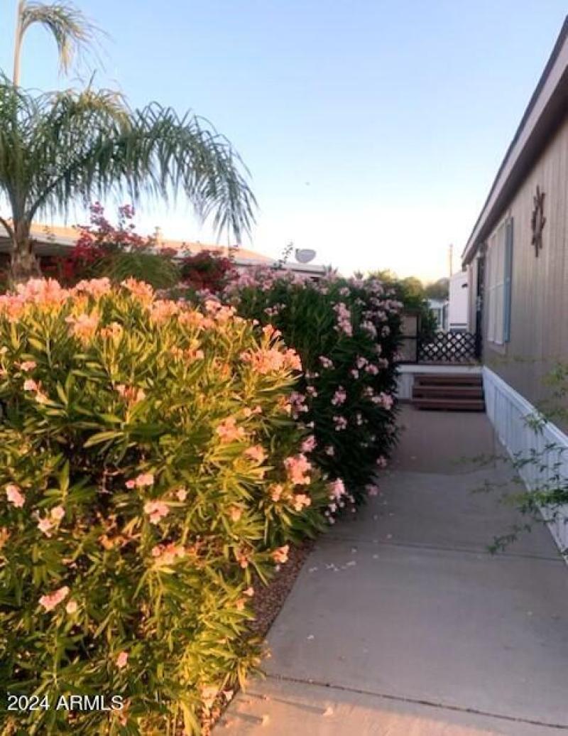 1280 N Ironwood #84 Front Walkway_Deck