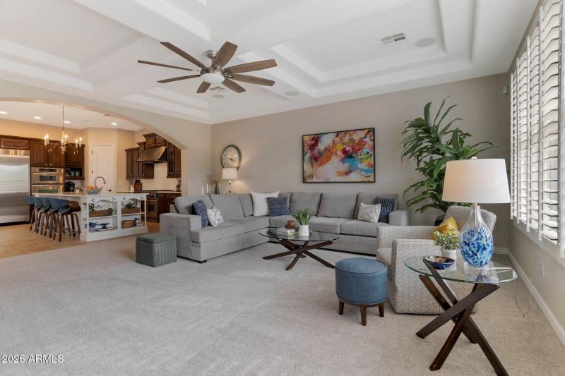 Family Room w/Tray Ceilings