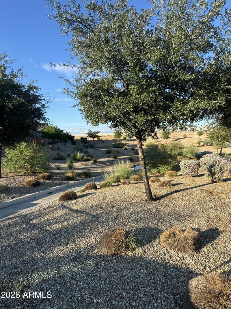 Open Area to rear of house