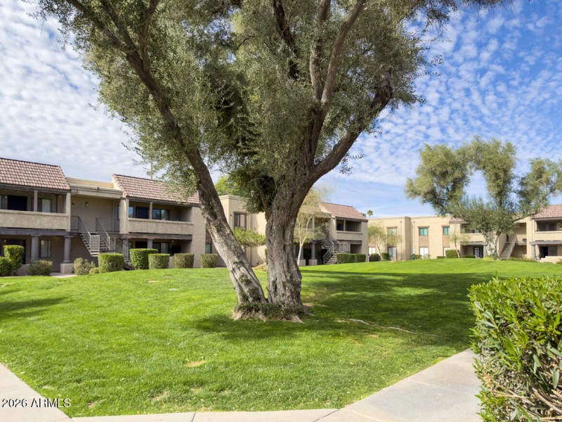 5995 N 78 Green area_6408