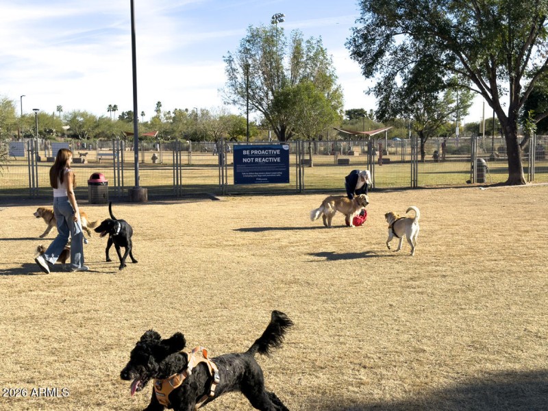 5995 N 78 Dog park_5902