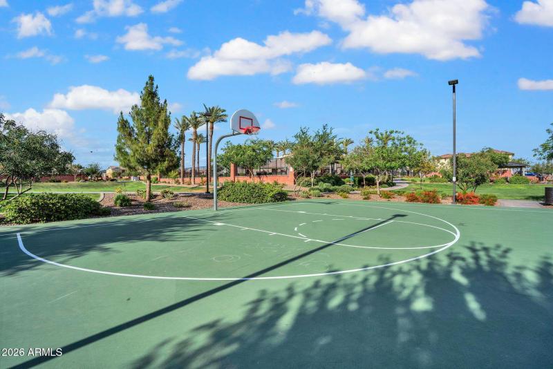 basketball court
