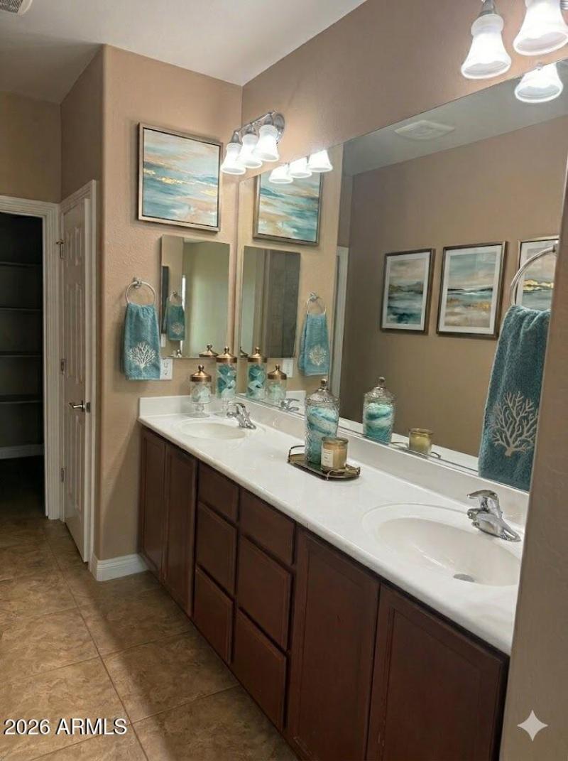 Desert Elm- primary bath