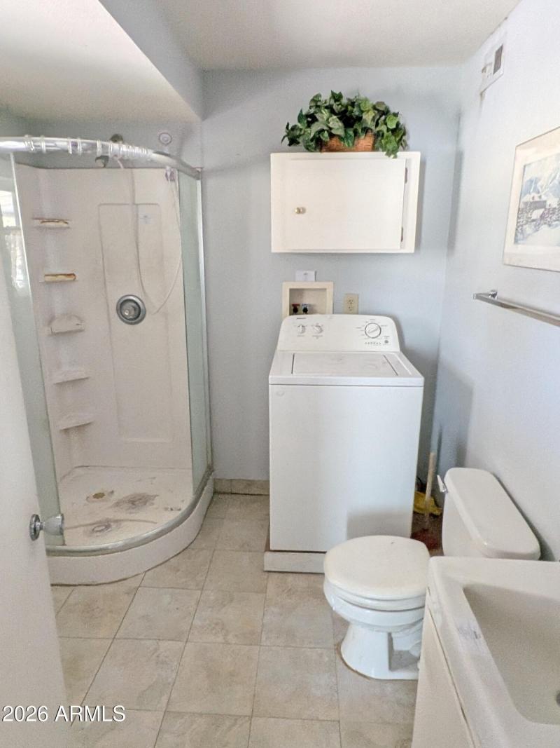 Master bath (shower,washer,head,vanity)