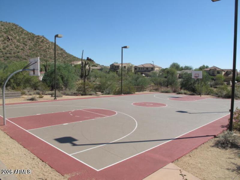 Basketball court