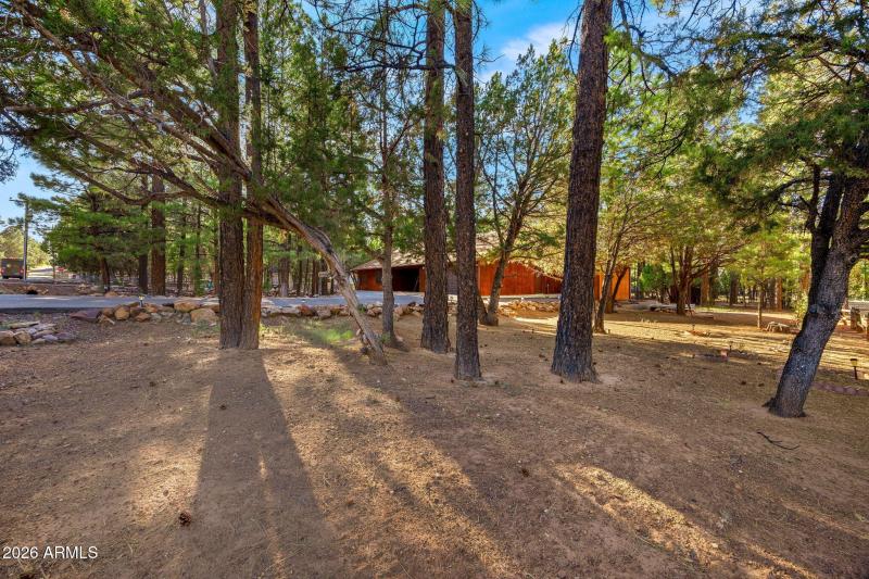 2202ForestParkDr-Heber-AZ-39