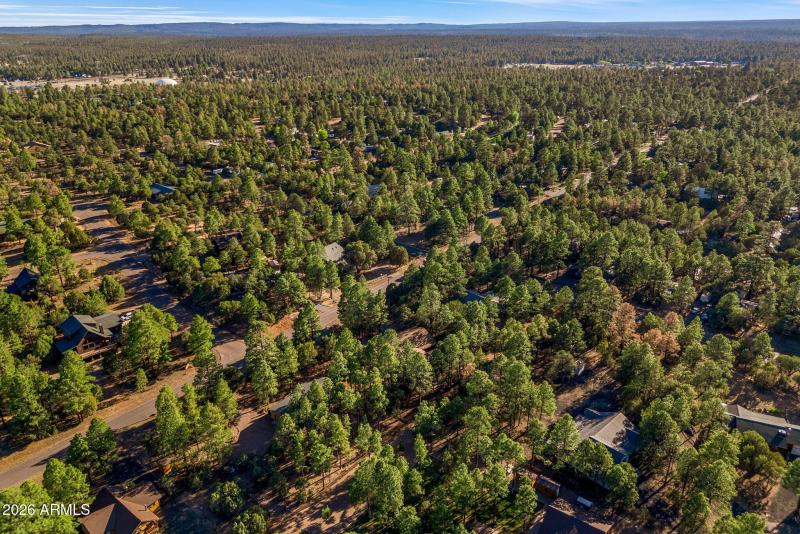 2202ForestParkDr-Heber-AZ-44