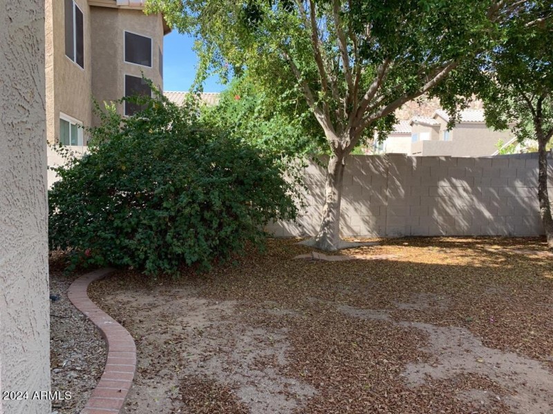 Back Yard_Exterior_1-3