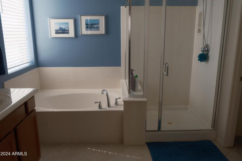 primary suite bath