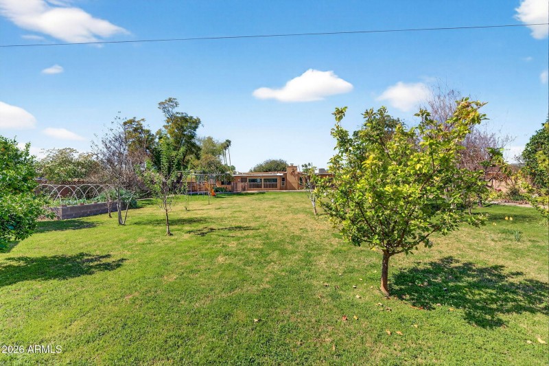 50-web-or-mls-42N Delmar