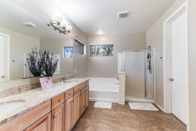 Primary Bathtub and Shower