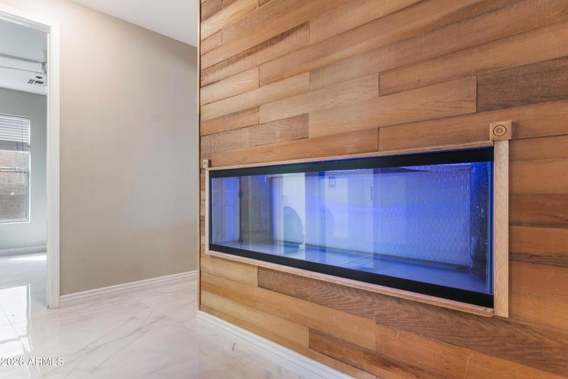 Aquarium/Terrarium Under Stairs