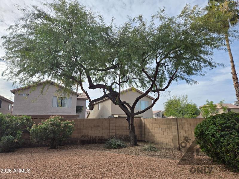 20260202_101558-watermarked