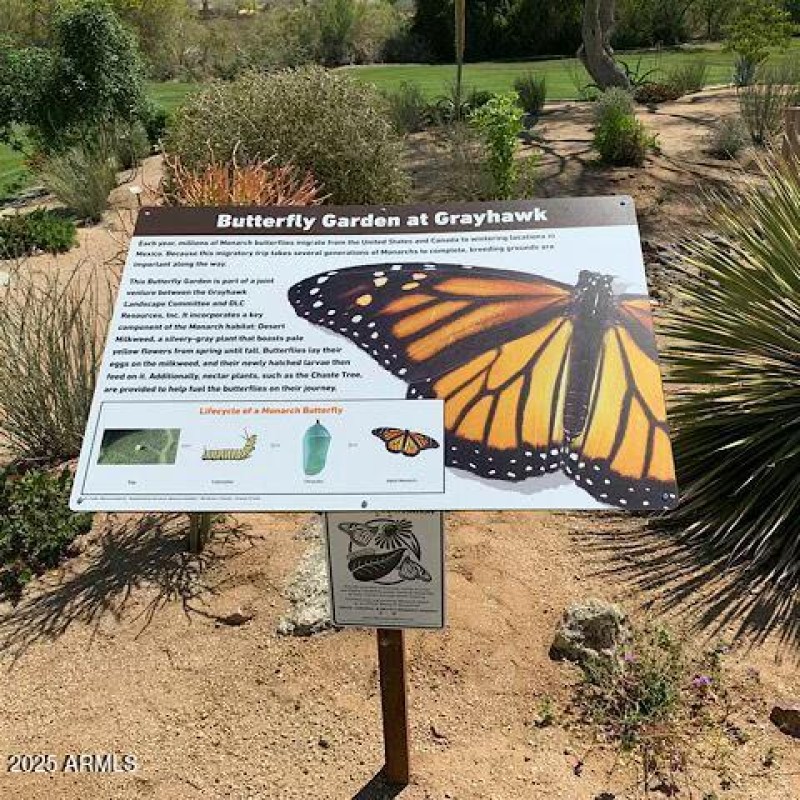 Butterfly Garden