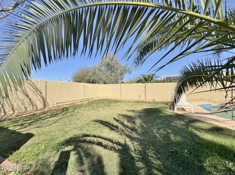 Grassy yard by pool