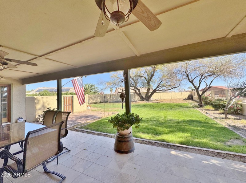 Back yard from patio