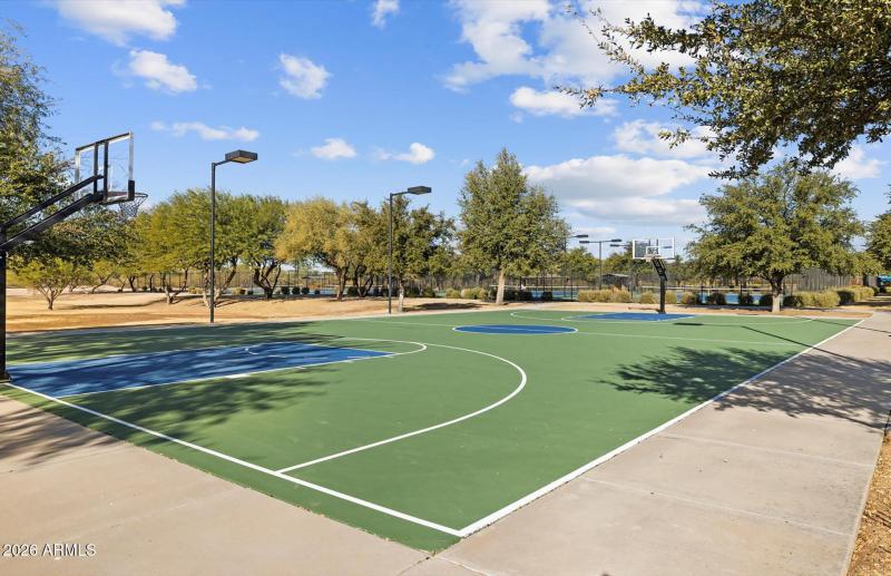 Basketball Court