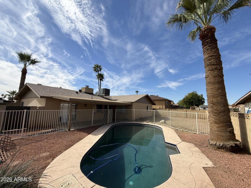 Pool And Backyard Palm Trees