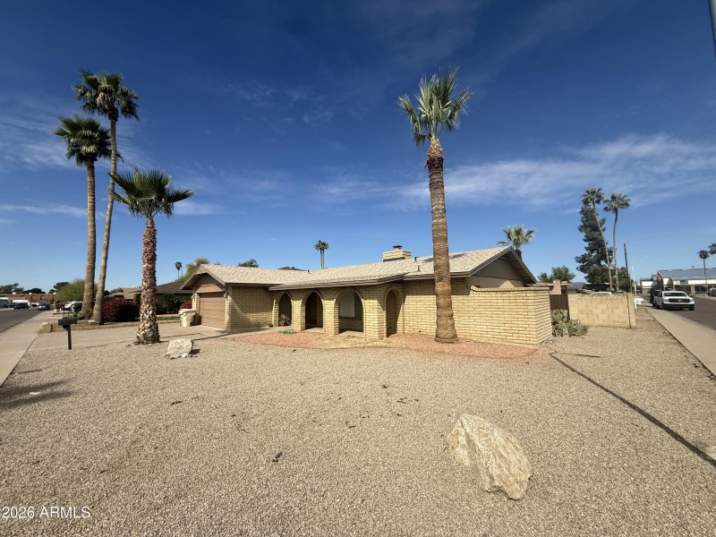 Front Yard Desert Landscaping