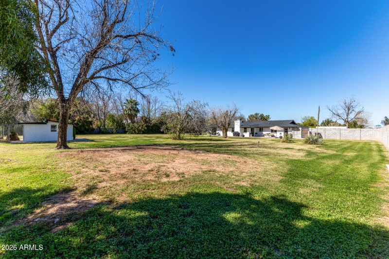 back yard from se corner