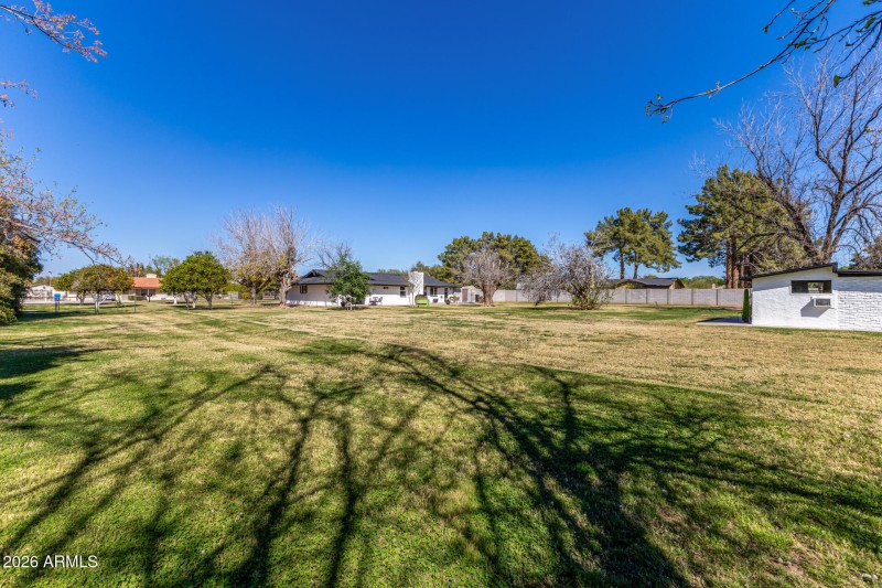back yard from sw corner