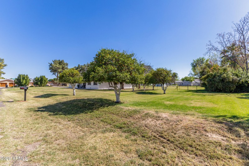 front yard from nw corner