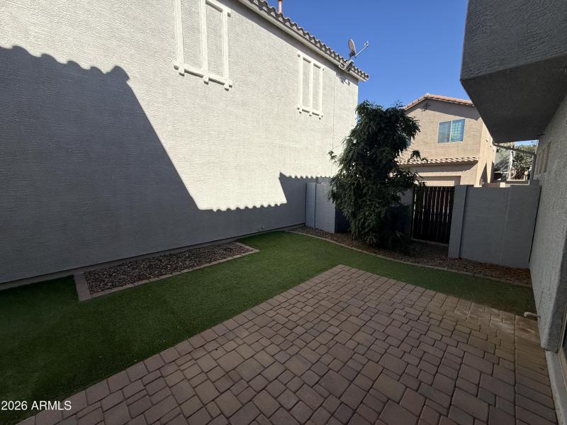 Low Maintenance Turf Backyard