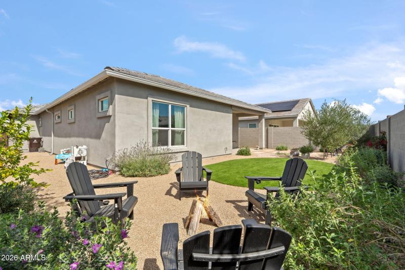 Lemon, Olive, Lavende, rosemary plants