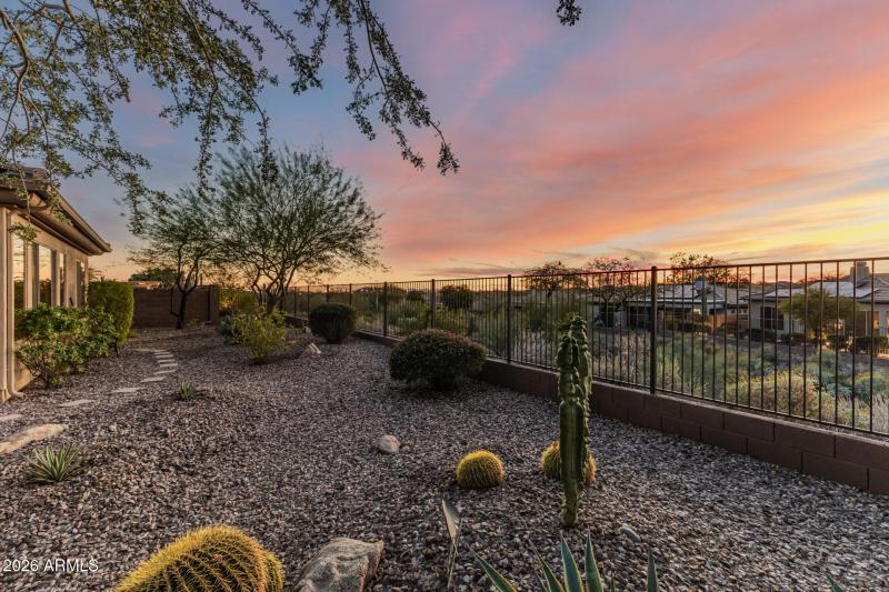 42008 N Anthem Springs Rd- Backyard (7)